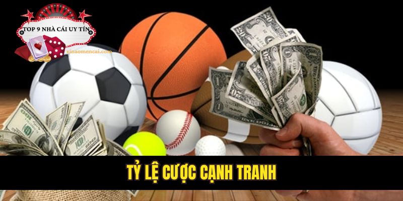 Nhà cái 8XBET com cung cấp tỷ lệ cược cạnh tranh