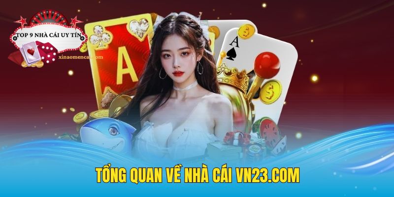 Đôi nét về nhà cái VN23 com