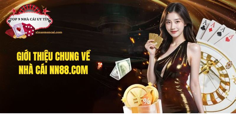 Giới thiệu về nhà cái NN88.com