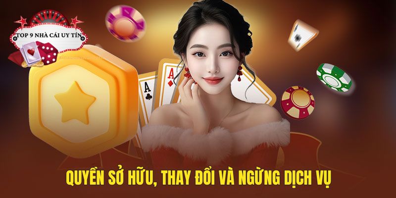 Quyền sở hữu, thay đổi và ngừng dịch vụ tại trang web