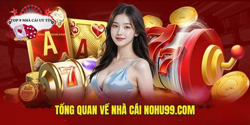 Tổng quan về nhà cái Nohu99.com